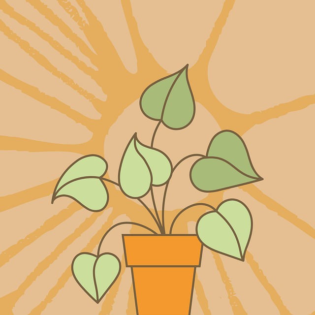 Создание Бохо Аксессуаров Своими Руками: Советы и Идеи